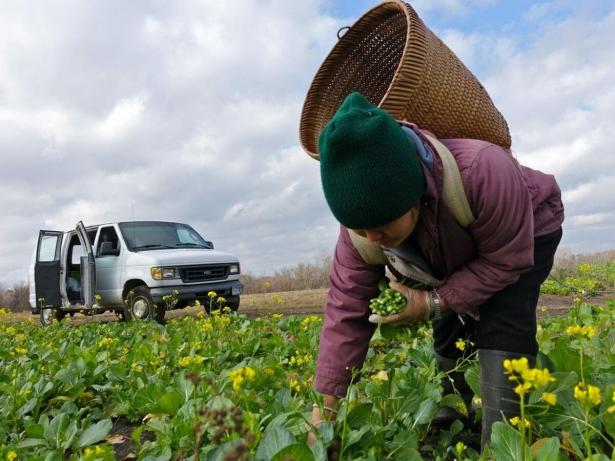 Long-term land ownership will bring change to Hmong farmers hoping to improve family farm operations.