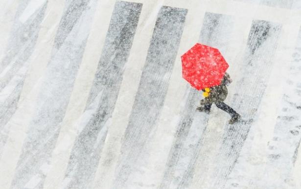 Person walking through snowstorm with umbrellas
